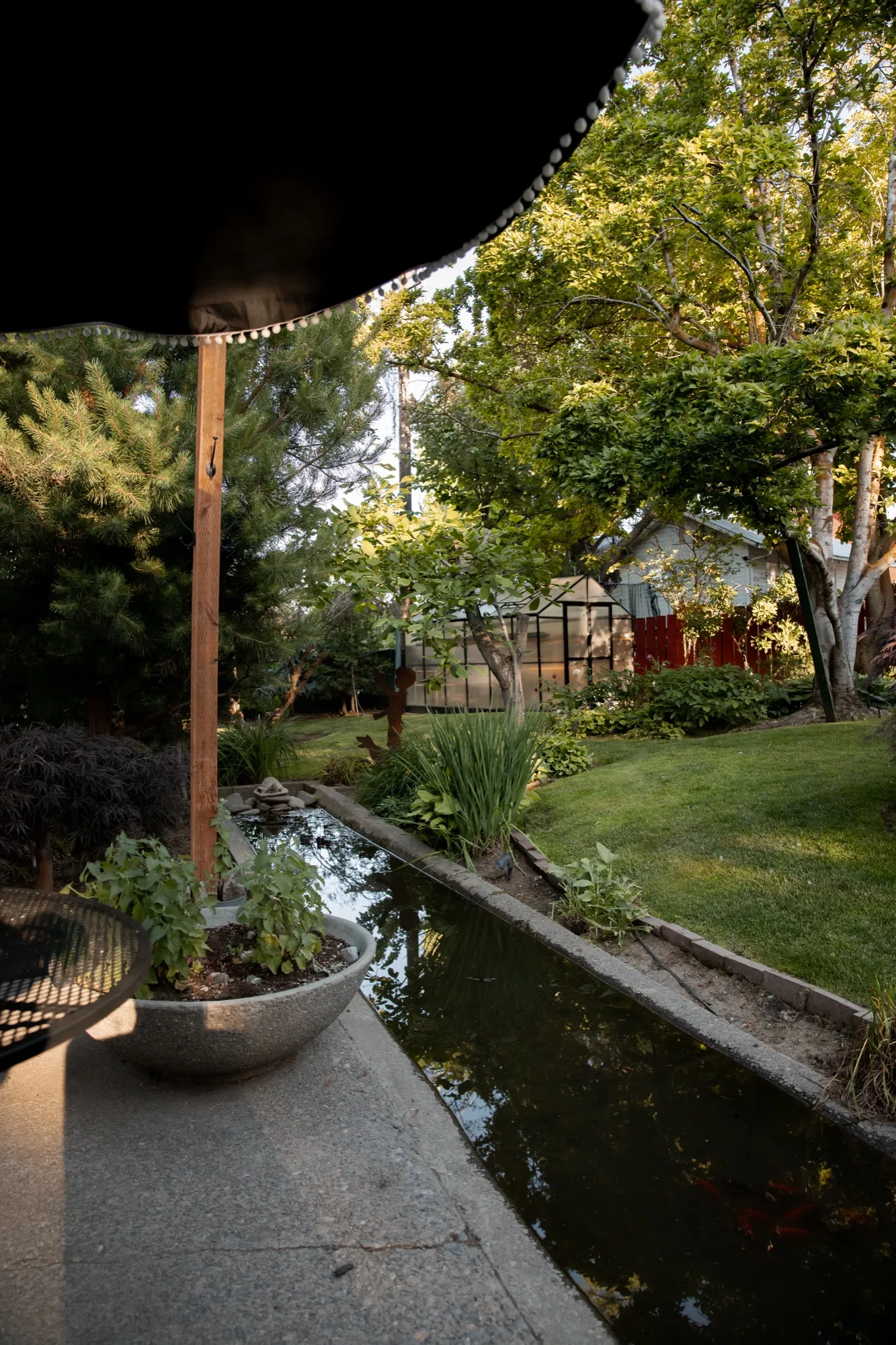 Garden canal beside the patio